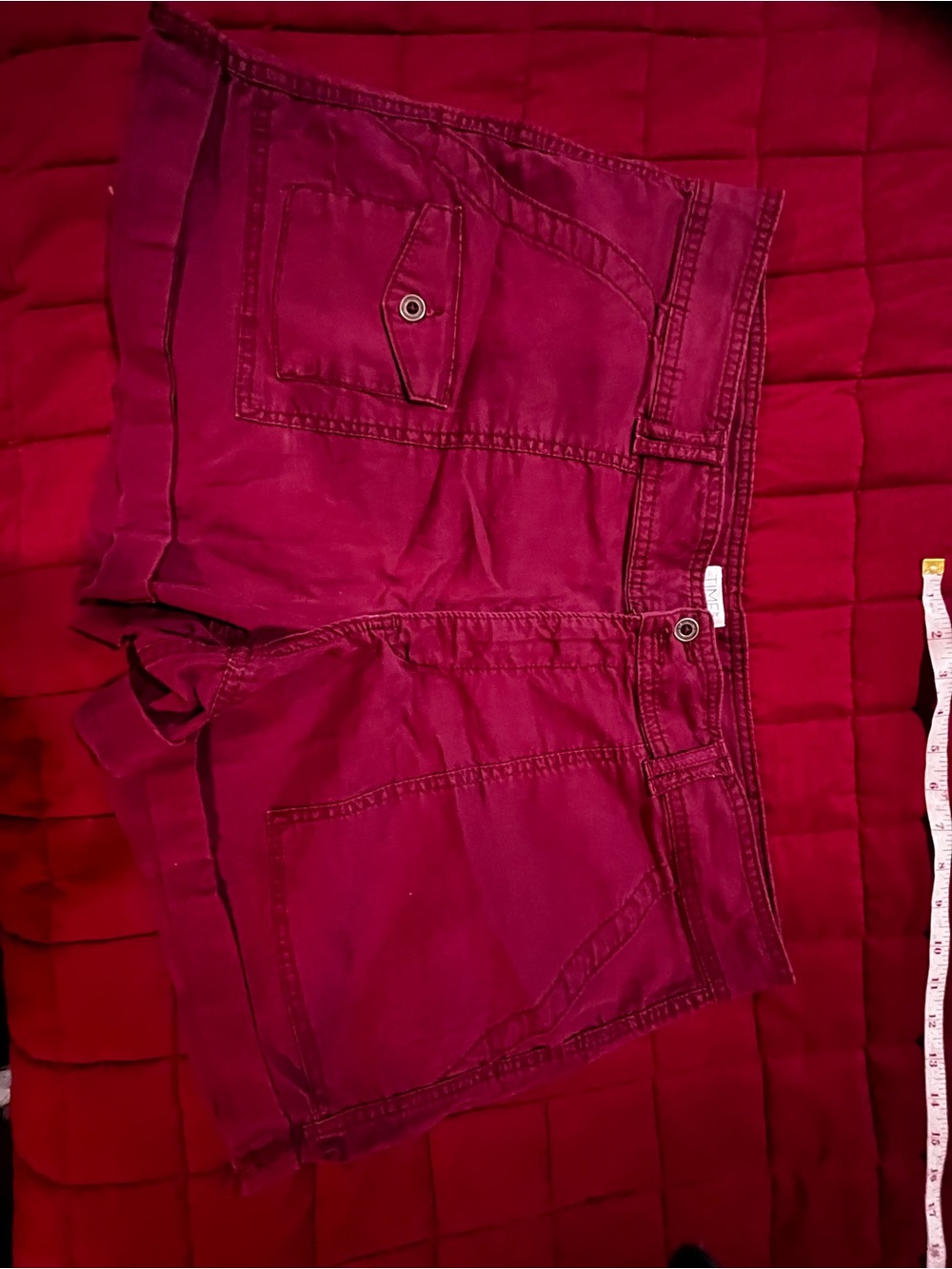 Time and Tru Plum Cargo Shorts